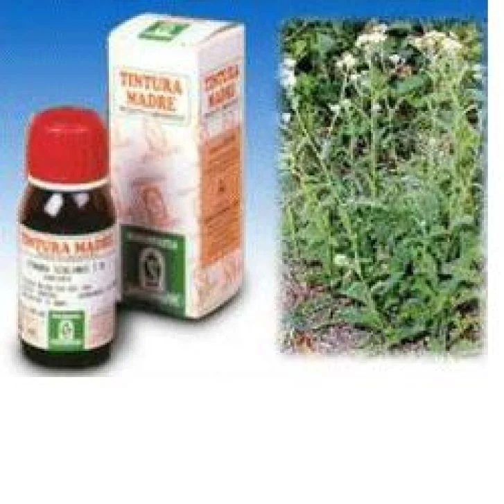 epharmacy1428213