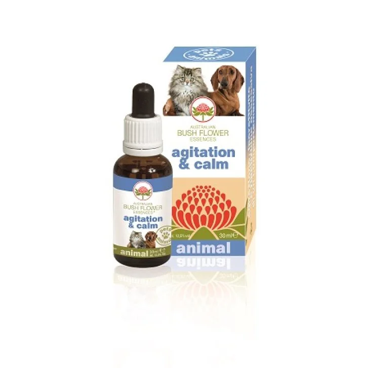 epharmacy1524811