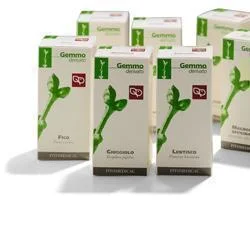 lovesano-31433147