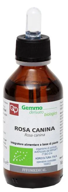 lovesano1152212
