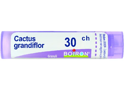 pharmasi-11123546