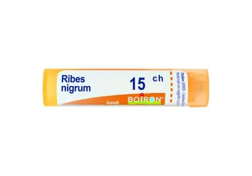 pharmasi-11353626