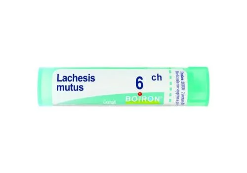 pharmasi-11363626