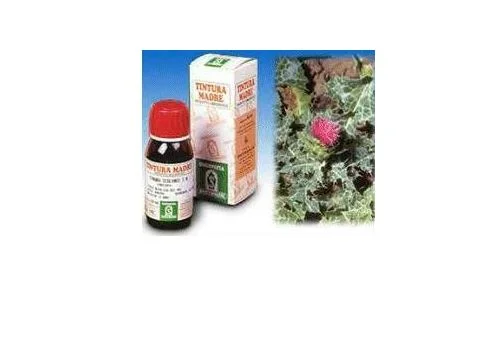 pharmasi1341540