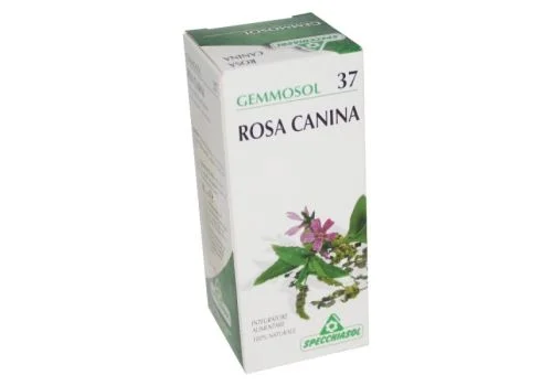 pharmasi1451782